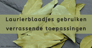 EvenDelen.be Laurierblaadjes gebruiken