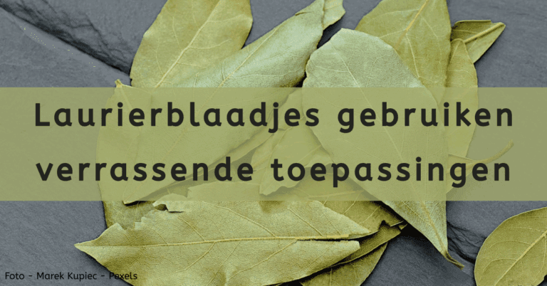 EvenDelen.be Laurierblaadjes gebruiken