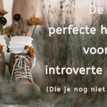 EvenDelen.be hobby's introverte mensen