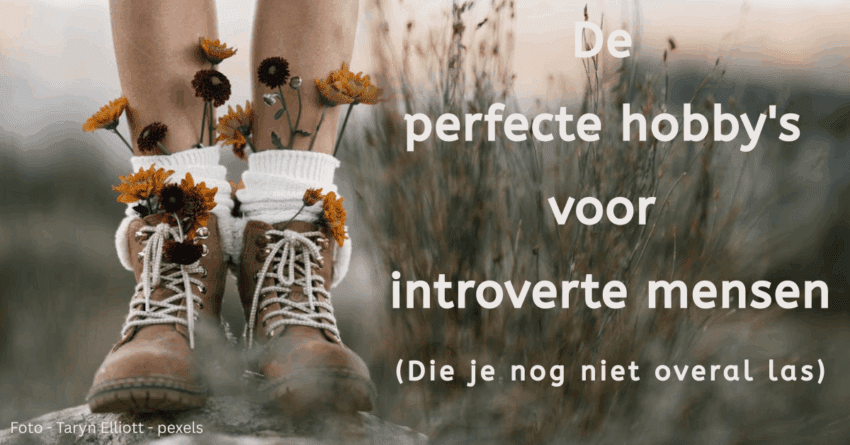 EvenDelen.be hobby's introverte mensen