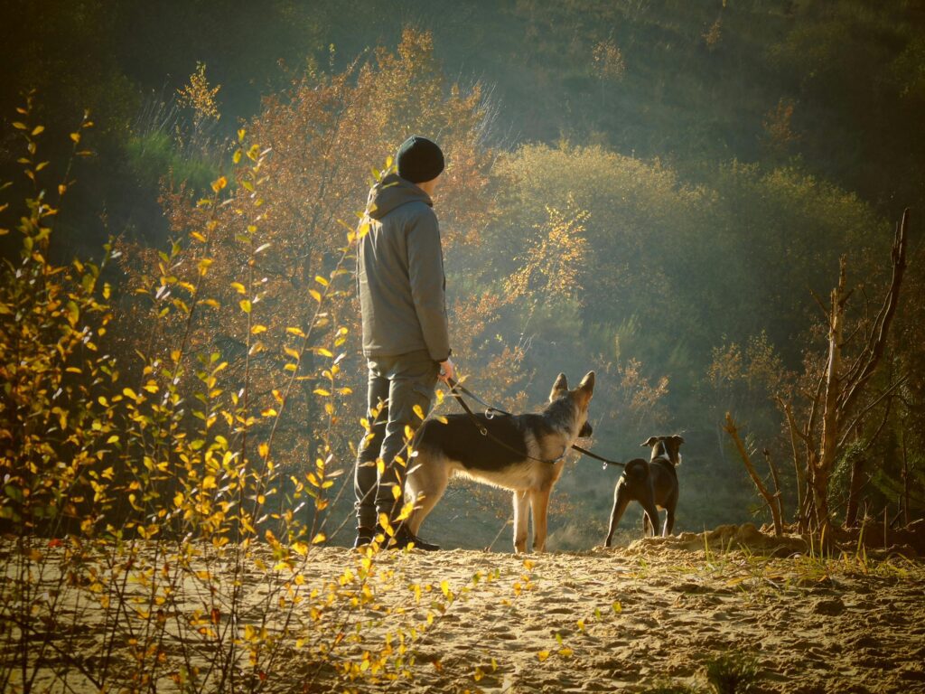 EvenDelen.be Hobby introverte mensen