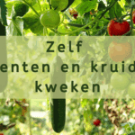 EvenDelen.be Zelf groenten en kruiden kweken