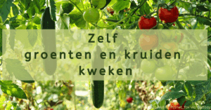 EvenDelen.be Zelf groenten en kruiden kweken