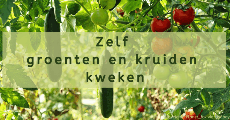 EvenDelen.be Zelf groenten en kruiden kweken