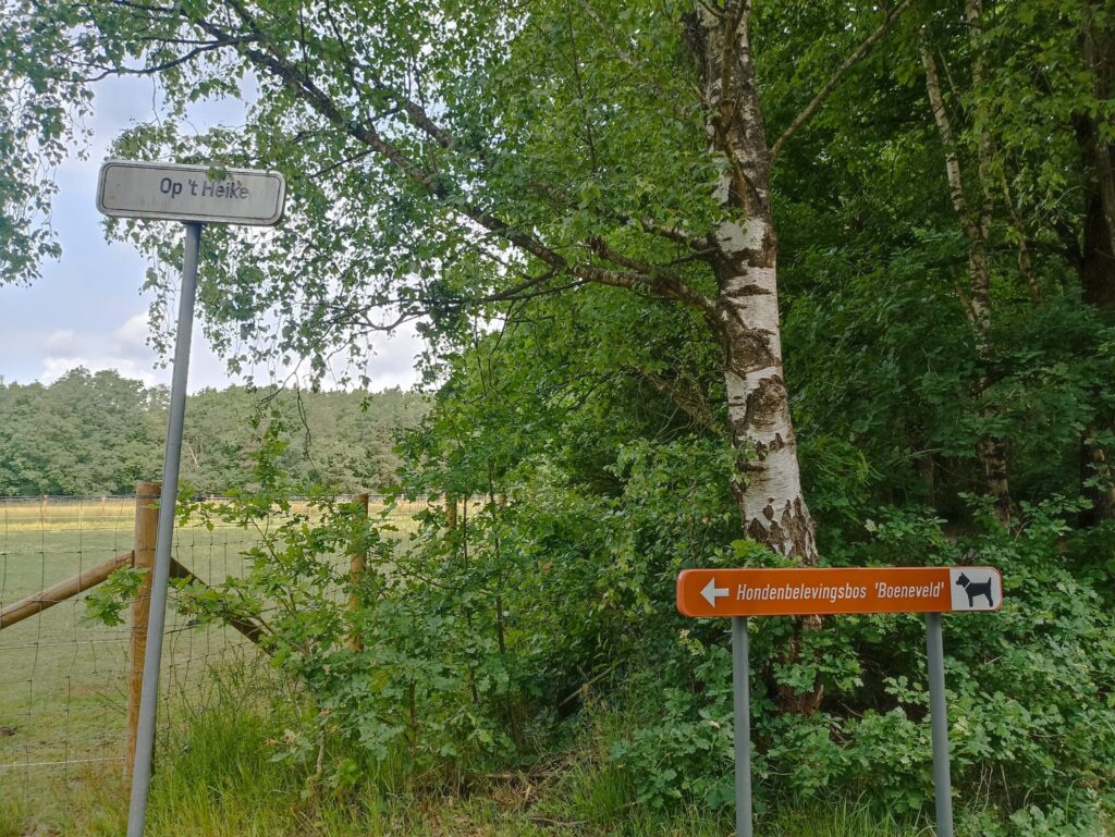 EvenDelen.be Hondenbelevingsbos Boeneveld Zutendaal