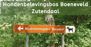EvenDelen.be Hondenbelevingsbos Boeneveld Zutendaal