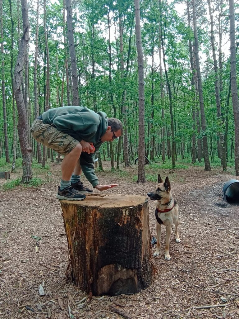 EvenDelen.be Hondenbelevingsbos Boeneveld Zutendaal