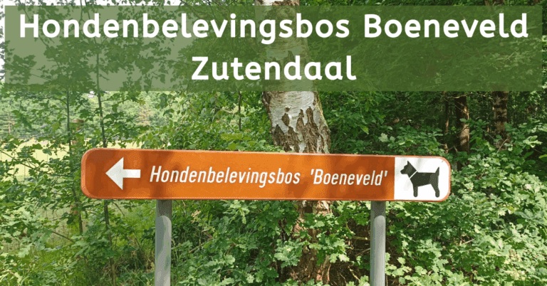 EvenDelen.be Hondenbelevingsbos Boeneveld Zutendaal