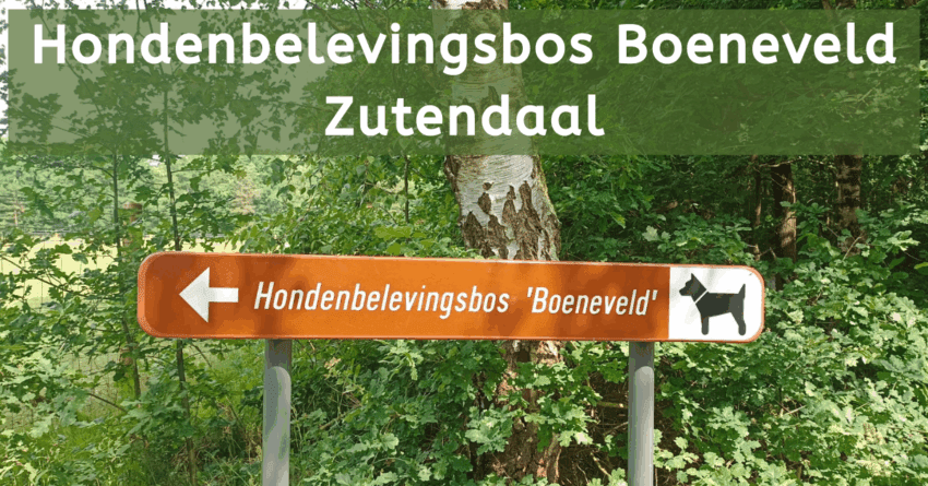 EvenDelen.be Hondenbelevingsbos Boeneveld Zutendaal