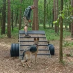 Hondenbelevingsbos Boeneveld – Zutendaal