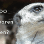 EvenDelen.be Gaia Zoo