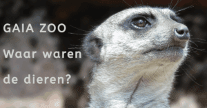 Gaia Zoo – Waar waren de dieren?