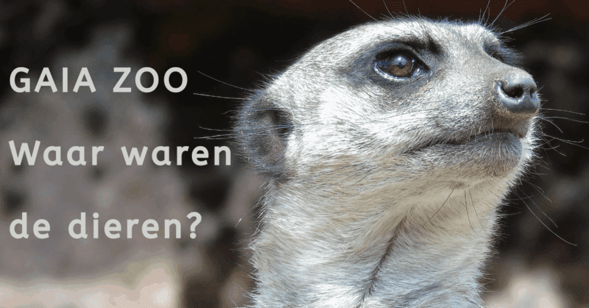 EvenDelen.be Gaia Zoo