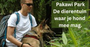 EvenDelen.be Pakawi Park Dierentuin waar hond mee mag.