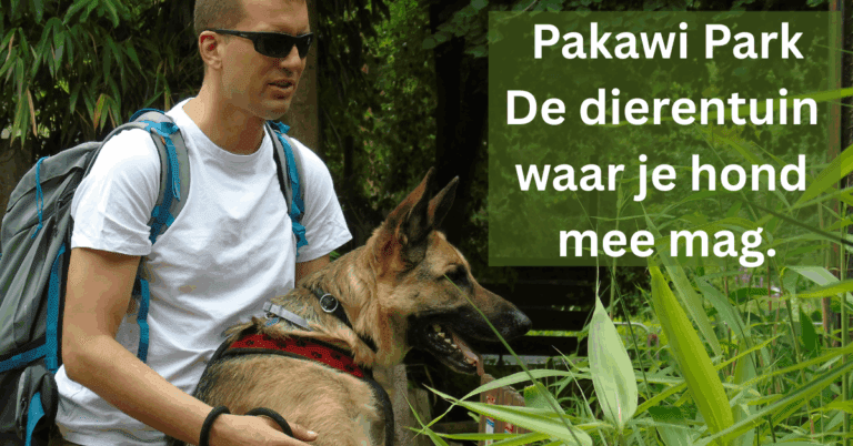 EvenDelen.be Pakawi Park Dierentuin waar hond mee mag.