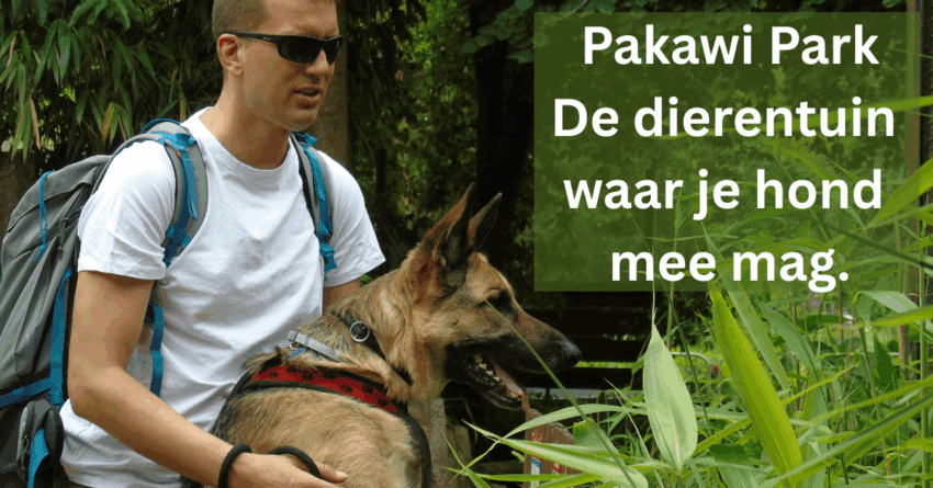 EvenDelen.be Pakawi Park Dierentuin waar hond mee mag.