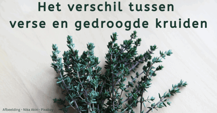 EvenDelen.be verschil verse en gedroogde kruiden