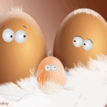 EvenDelen.be Eierschalen gebruiken tuin