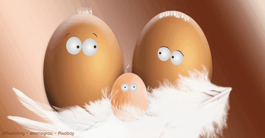 EvenDelen.be Eierschalen gebruiken tuin