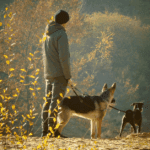 Herfstactiviteiten met je hond
