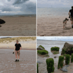 Hondenstrand Westerschouwen in Zeeland