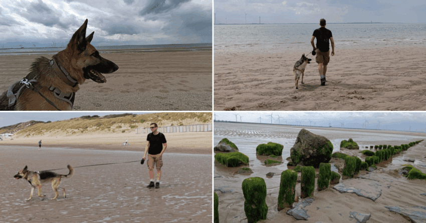 Hondenstrand Westerschouwen in Zeeland