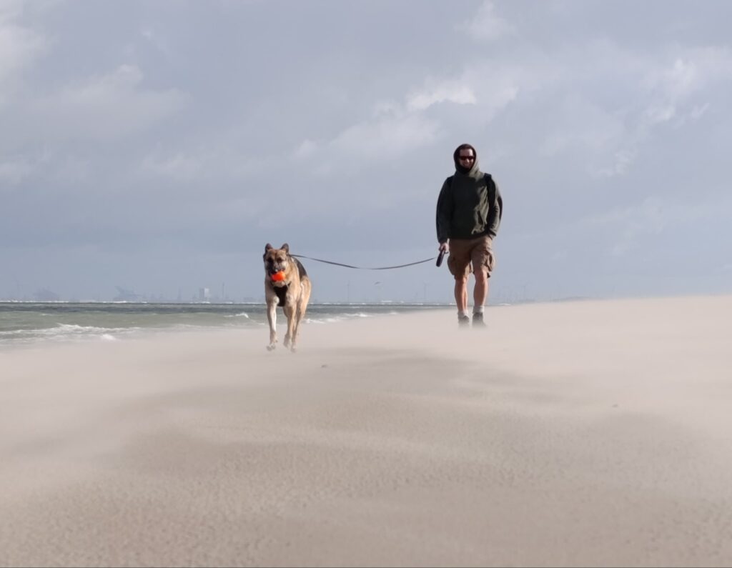 Groene Strand Zeeland