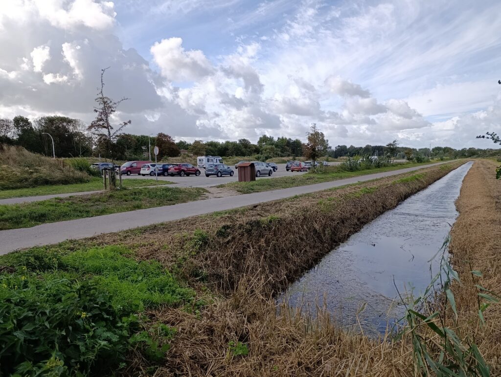 Honden losloopgebied Ouddorp parking