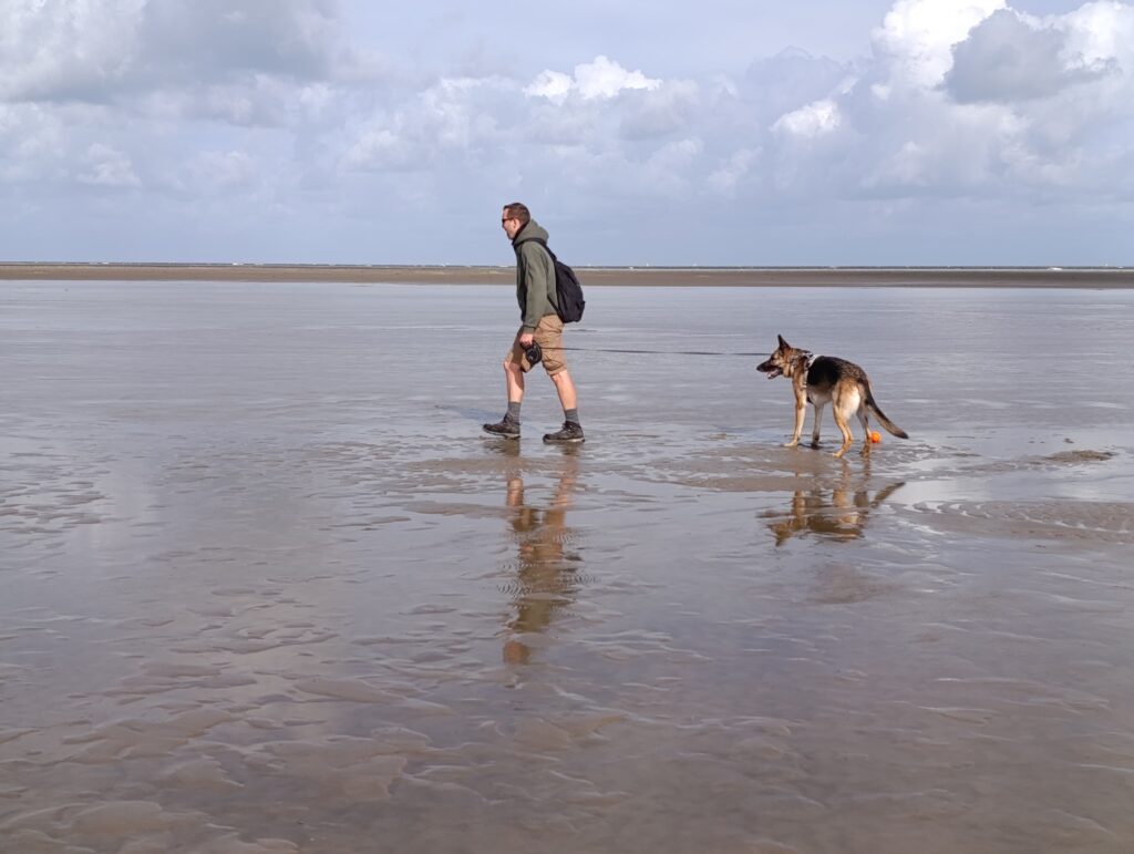 Honden losloopgebied Ouddorp afsluiten met een strandwandeling