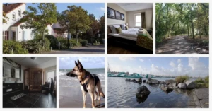 Center Parcs Port Zélande – genieten met je hond aan zee