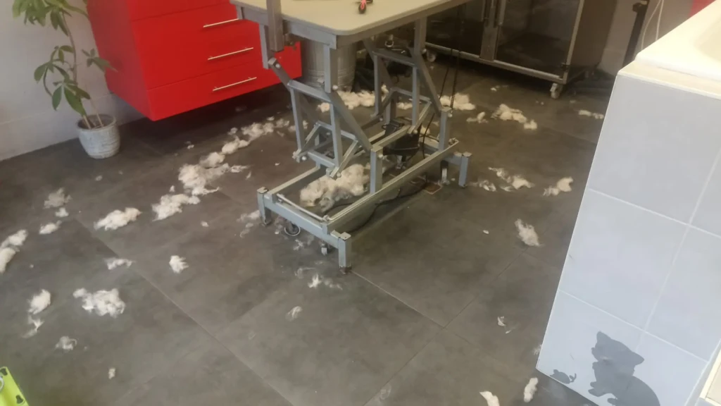 Dierenkapsalon de kwispelaar