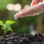 Zelf natuurlijke meststoffen maken
