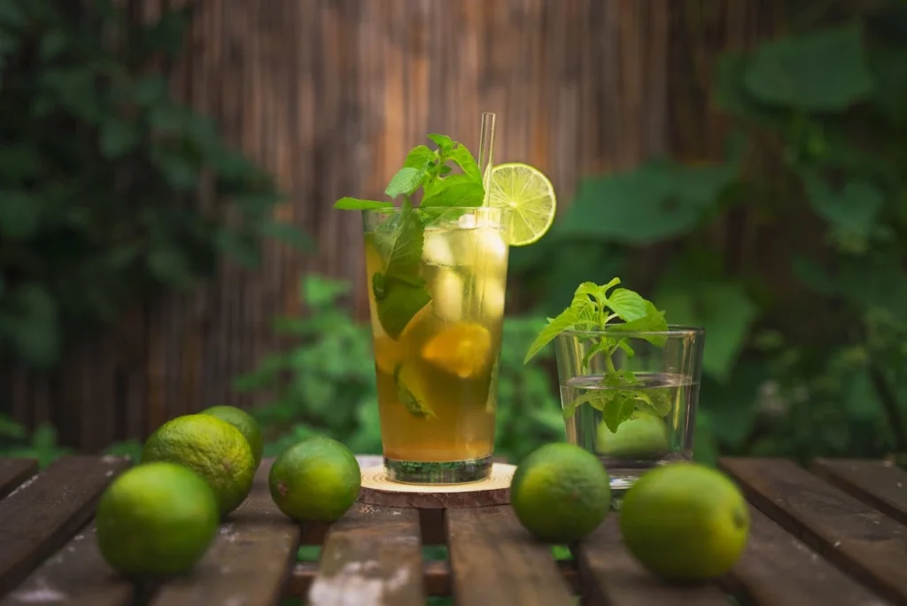 Met munt kun je heerlijke koude en warme dranken maken