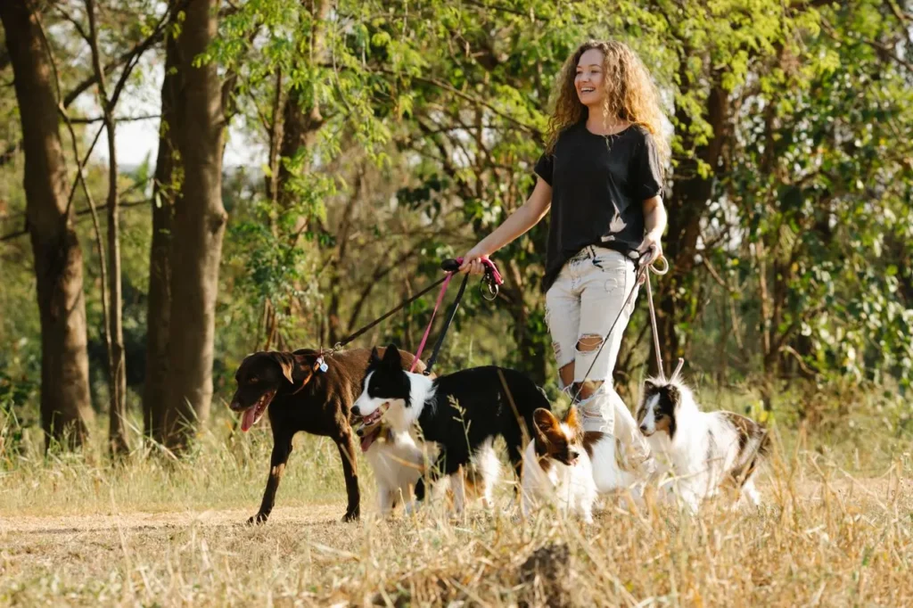 Een vrouw die met veel enthousiasme meerder honden uitlaat in een mooie bosrijke omgeving