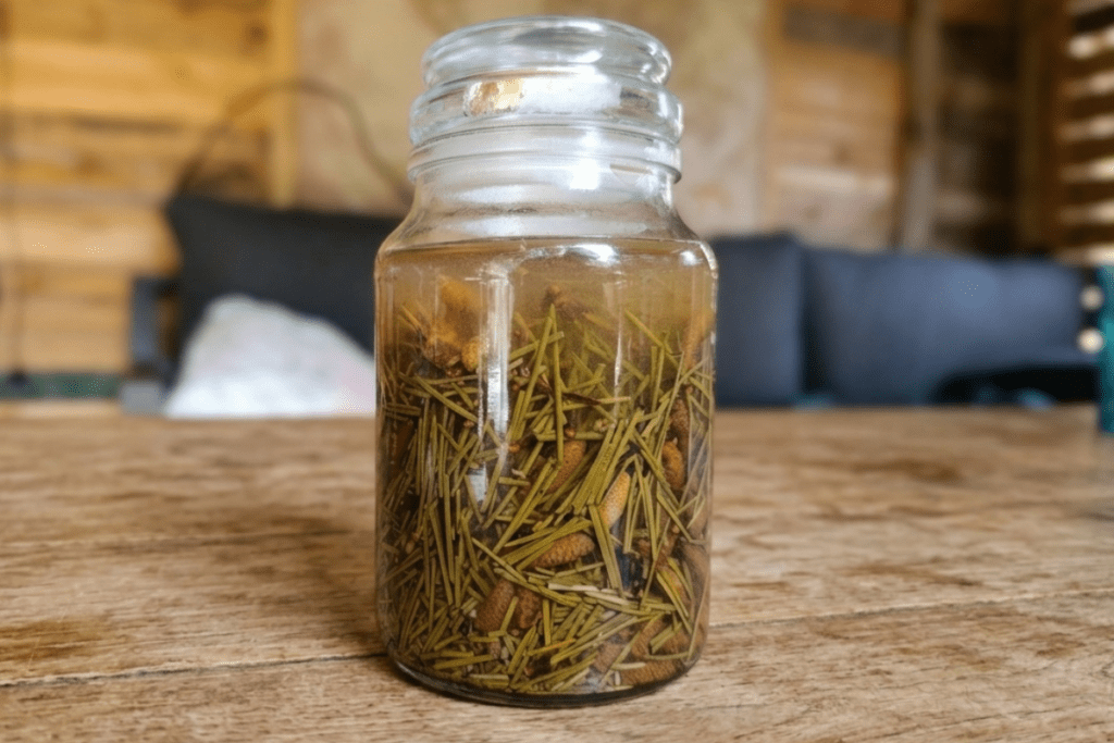Glazen pot gevuld met fijngesneden verse dennennaalden en gin die op een houten tafel staat te trekken tot een medicinale tinctuur.