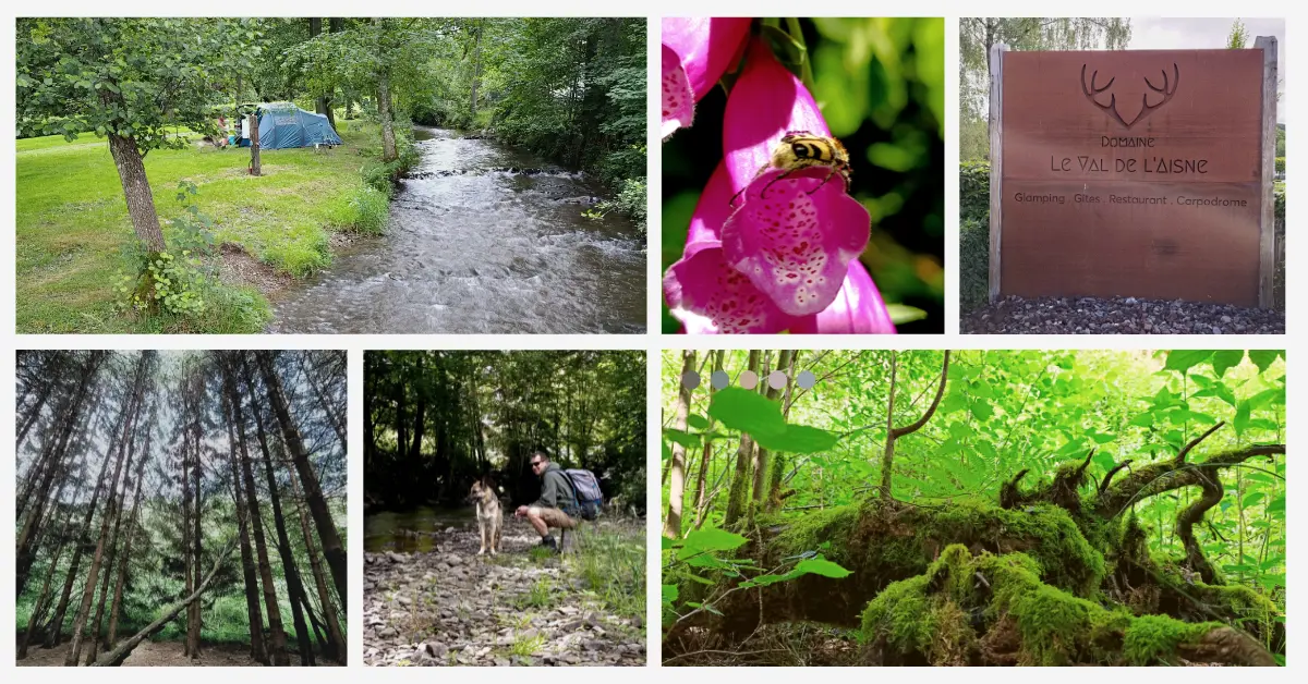 Slow Living in de Ardennen: Kamperen met de tent (en de hond) aan de l’Aisne