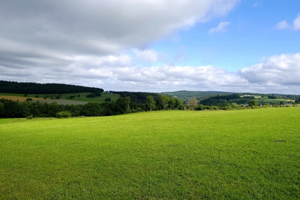 Een groot, glooiend groen grasveld onder een deels bewolkte blauwe lucht met in de verte beboste heuvels.