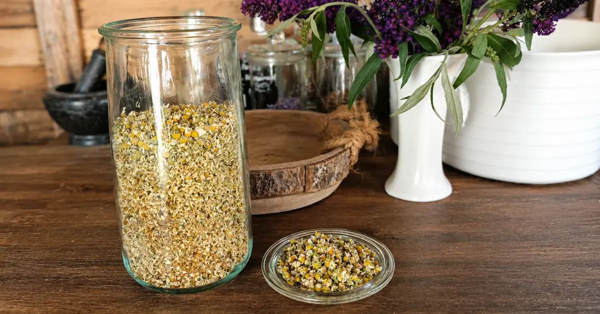 Zelf Kamille Drogen: Een grote weckpot met gedroogde kamille bloemen en een schotelje ernaast met gedroogde bloemen erop, op een mooie houten tafel